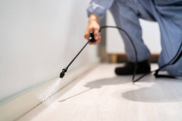 Licensed Mosquito Control service in Rockingham, NC - Show Me Pest Control