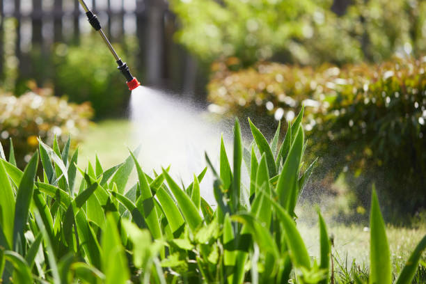 24/7 Emergency Mosquito Control experts in Rockingham, NC