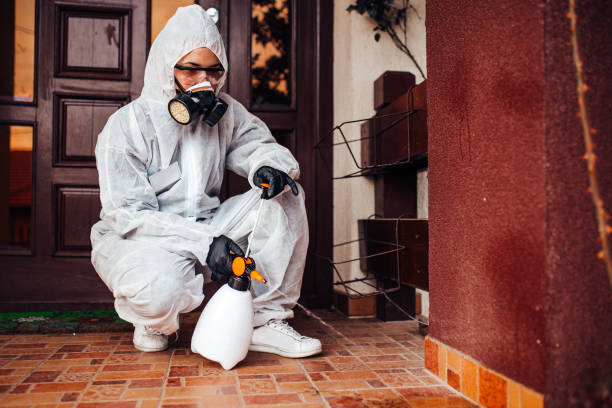 Reliable Mosquito Control contractor in Rockingham, NC by Show Me Pest Control
